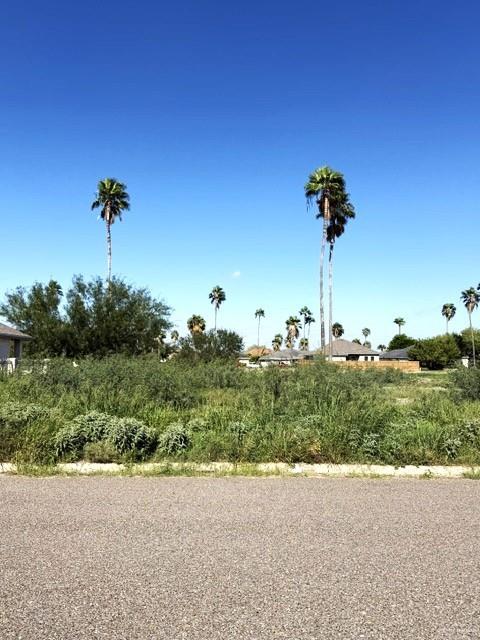 Photo 5 of 1933 Meadow Way Drive