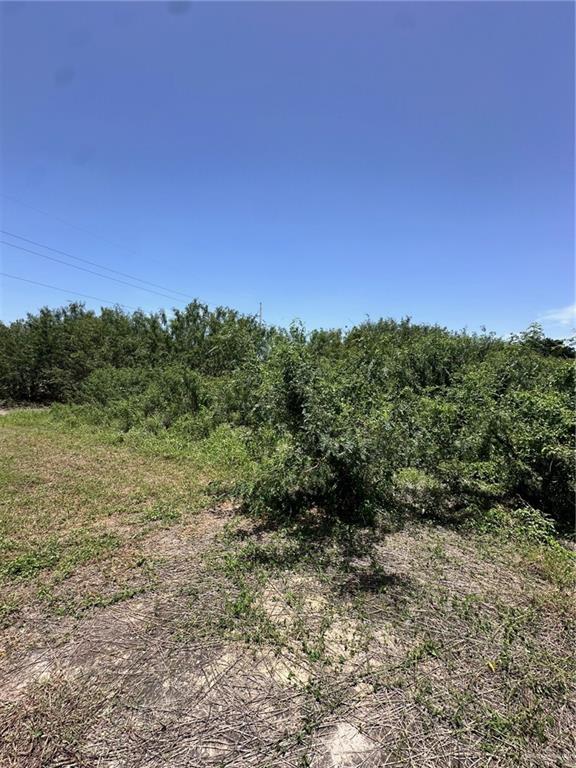 Photo 17 of 2012 Mile 3 Road