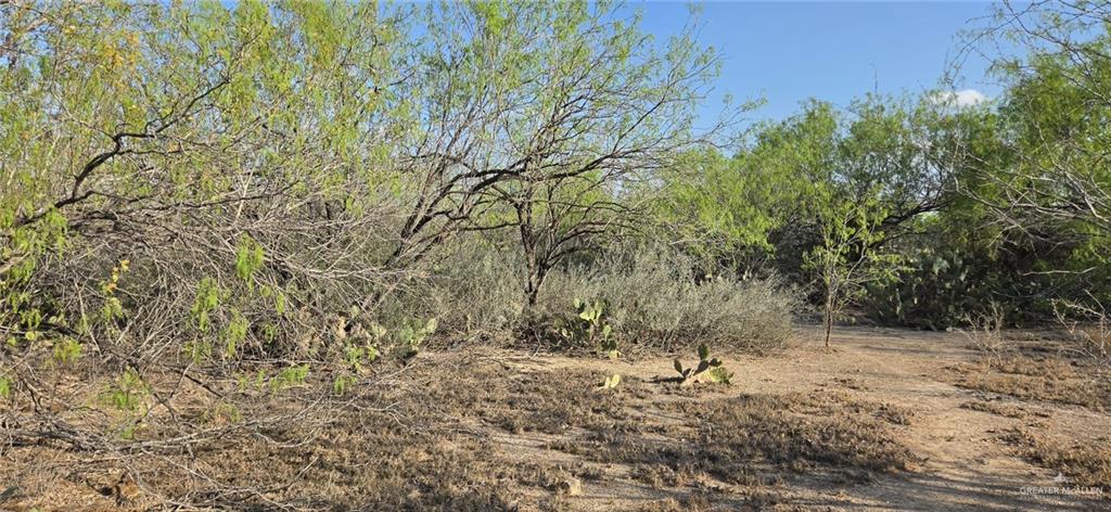 Photo 4 of 7622 Los Charcos Drive