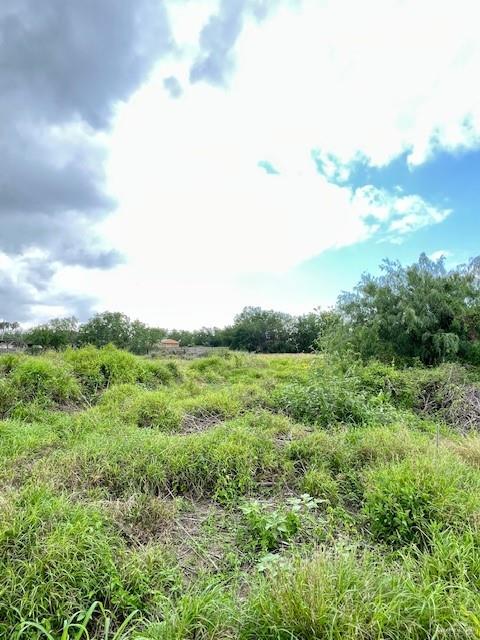 Photo 1 of 704 Monterrey Drive, Weslaco