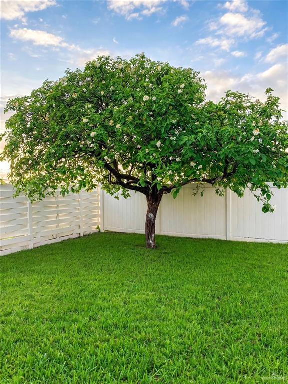 Photo 39 of 5601 Wild Persimmon