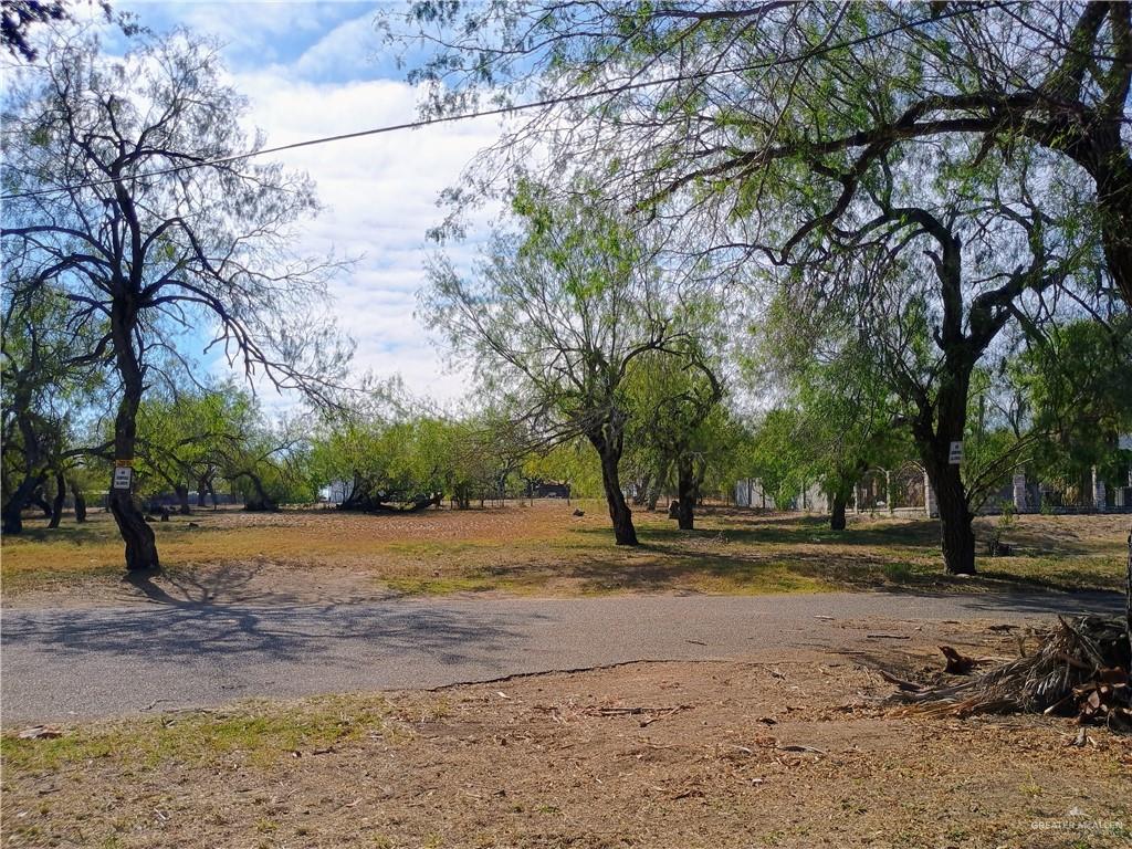 Photo 3 of 972 Kika De La Garza Boulevard