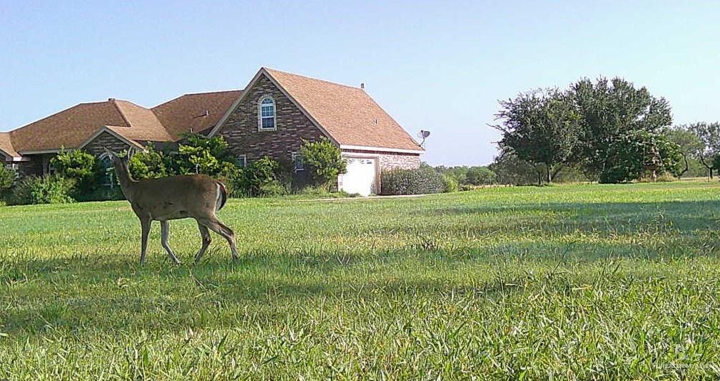 Photo 30 of 375 CR 401 Road