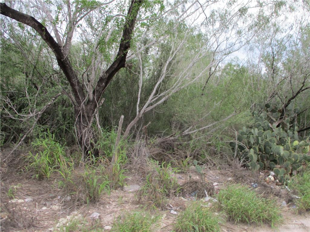 Photo 1 of 217 Charco Blanco Road, Rio Grande City