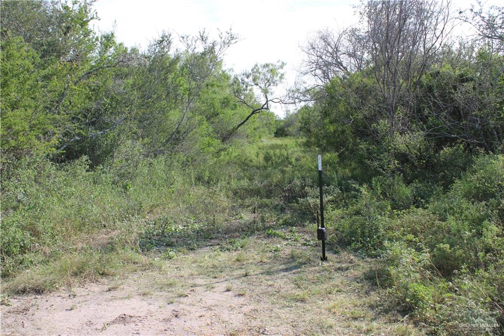 Photo 8 of 654 654 CR 3081 Road
